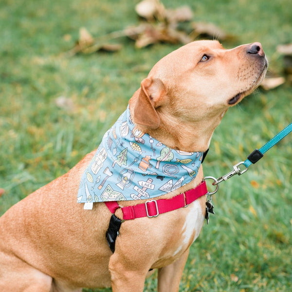Camping Pet Bandanna